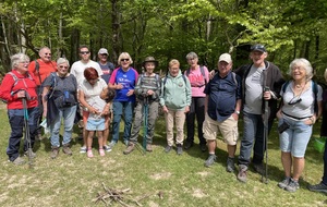 Rando en forêt de Balleroy