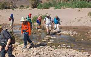 Du 31 mars au 14 avril 2025, séjour au Maroc
Ce fut une belle découverte pour le groupe; le désert du Sud, l'Atlas, 4 jours à dormir dans le désert, ce fut génial. Les soirées près du feu avec la cuisson du pain et randonnées dans les dunes... Souvenirs inoubliables... Puis une semaine à l'oasis de Fint, très bel endroit parmi les palmiers, randonnées dans les petits villages alentour, excursion dans la vallée des Roses...pas trop de roses! Très belles journées pour l'ensemble du groupe, très bon séjour.